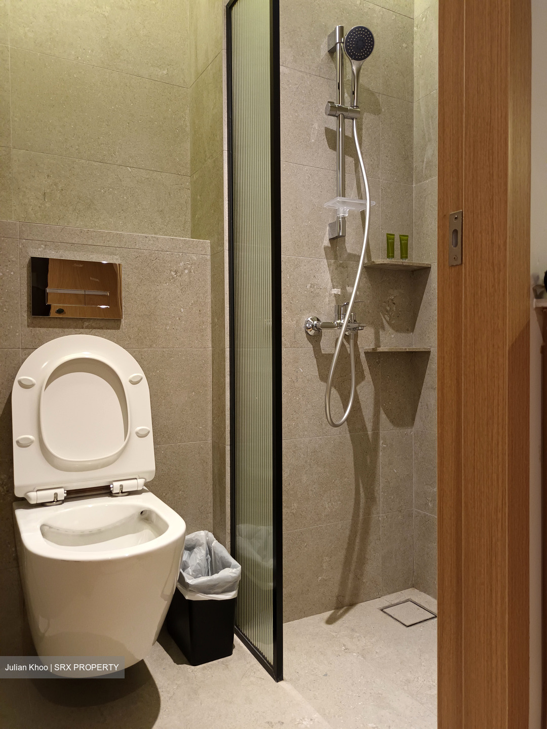 Mount Elizabeth Link (D9), Condominium #476590291